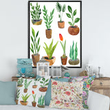 Eight Potted House Plants