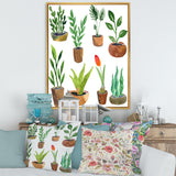 Eight Potted House Plants