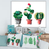 Three Cactus In Clay Pots