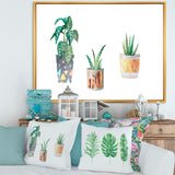 Three Potted Houseplants