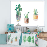 Three Potted Houseplants