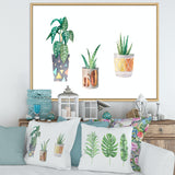 Three Potted Houseplants