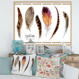 Exotic Vibrant Boho Feathers