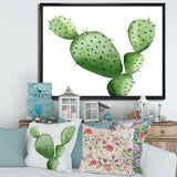 Green Southwestern Cactus