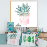 Cactus and Succulent House Plants II