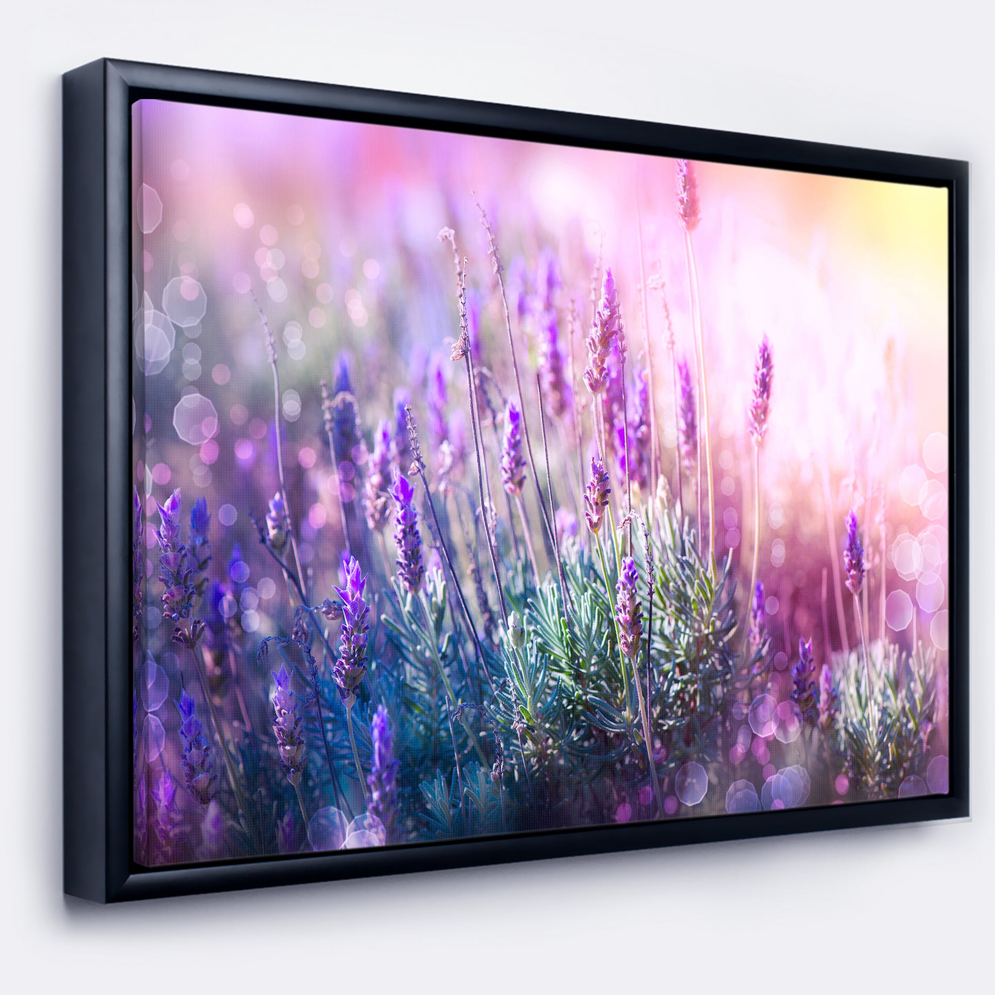 Growing and Blooming Lavender Wall Art