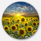 Field of Blooming Sunflowers' Large Flower Metal Circle Wall Art