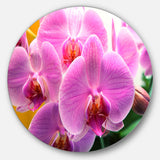 Beautiful Purple Orchid Flowers' Large Flower Oversized Metal Circle Wall Art