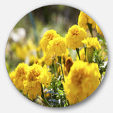 Bright Yellow Marigold Flowers' Disc Floral Circle Metal Wall Decor