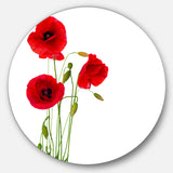 Isolated Red Poppy Flowers' Floral Metal Circle Wall Art