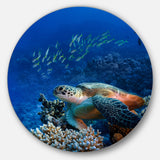 Large Sea Turtle underwater' Ultra Vibrant Abstract Metal Circle Wall Art