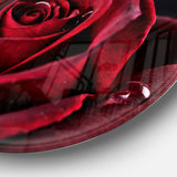 Red Rose with Raindrops on Black' Disc Flowers Large Metal Circle Wall Artwork