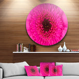 Macro Photo of Gerbera Flower' Disc Flowers Large Metal Circle Wall Artwork