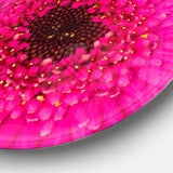 Macro Photo of Gerbera Flower' Disc Flowers Large Metal Circle Wall Artwork