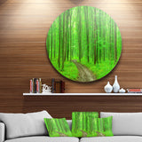 Pathway in Bright Green Forest' Disc Forest Metal Circle Wall Arts
