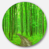 Pathway in Bright Green Forest' Disc Forest Metal Circle Wall Arts