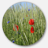Rural Landscape with Red Poppies' Large Landscape Metal Circle Wall Art