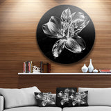Beautiful Monochrome Alstroemeria Flower' Extra Large Floral Wall Art