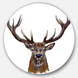 Deer Head in Front Illustration' Animal Circle Metal Wall Art