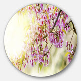 Blooming Cherry Flowers' Floral Photography Circle Metal Wall Art