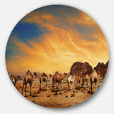 Camels in Wadi Rum' Disc Photography Circle Metal Wall Art