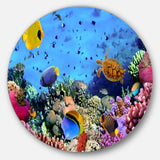 Coral Colony and Coral Fishes' Disc Seascape Circle Metal Wall Art