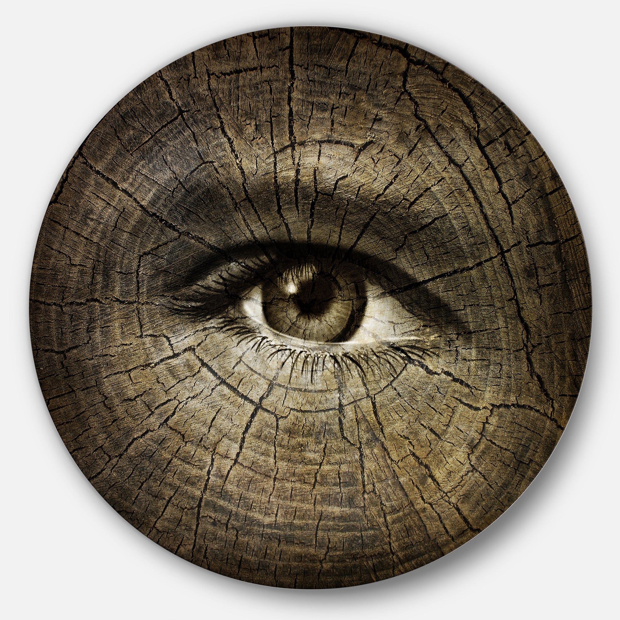 Aging Eyes' Disc Abstract Circle Metal Wall Art