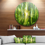 Forest with Rays of Sun Panorama' Disc Landscape Circle Metal Wall Art