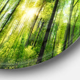 Forest with Rays of Sun Panorama' Disc Landscape Circle Metal Wall Art