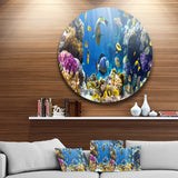 Fish in Coral Reef' Disc Seascape Photography Circle Metal Wall Art