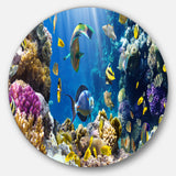 Fish in Coral Reef' Disc Seascape Photography Circle Metal Wall Art