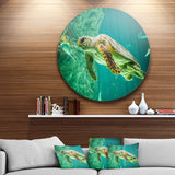 Huge Turtle Swimming' Animal Circle Metal Wall Art