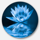 Blue Water Lily' Floral Circle Metal Wall Art