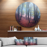 Mysterious Fairytale Green Wood' Landscape Photography Circle Metal Wall Art