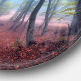 Mysterious Fairytale Green Wood' Landscape Photography Circle Metal Wall Art