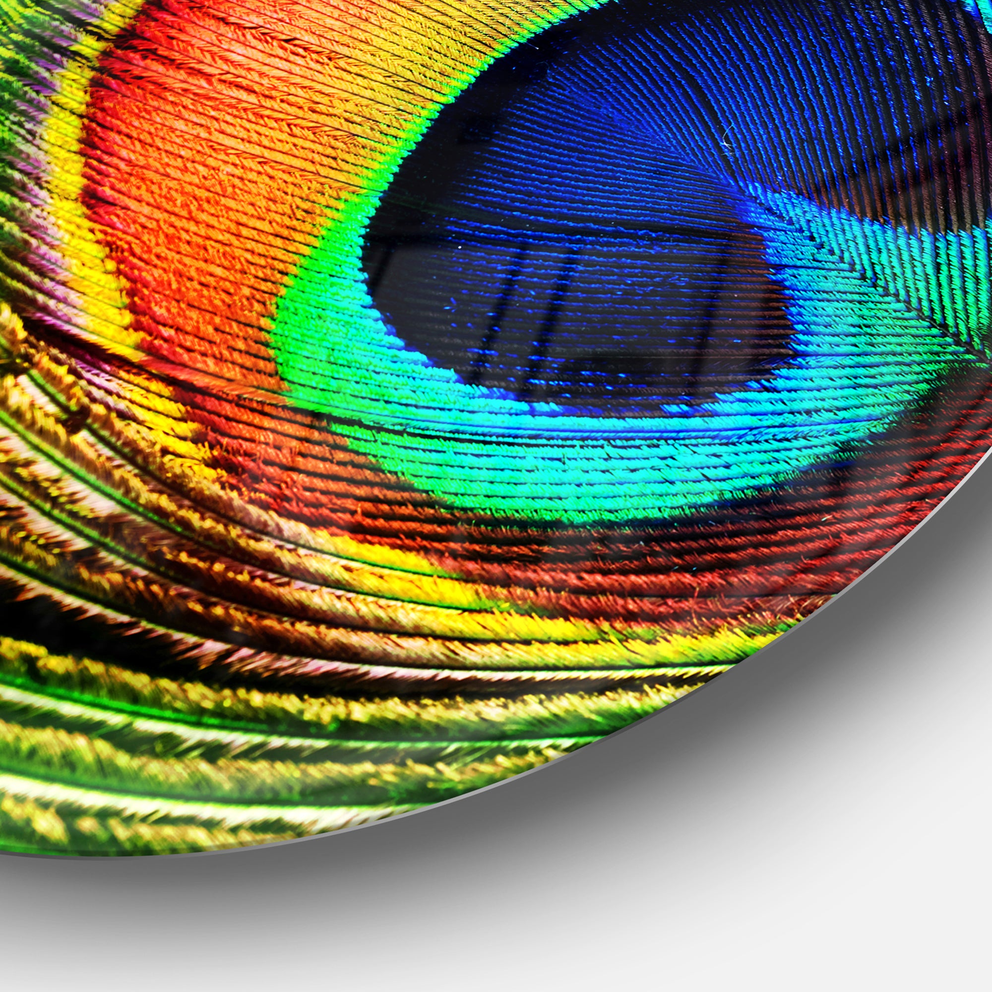 Peacock Feather' Photography Circle Metal Wall Art
