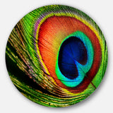 Peacock Feather' Photography Circle Metal Wall Art