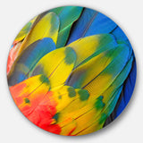 Scarlet Macaw Feathers' Photography Circle Metal Wall Art
