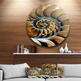 Brown Large Nautilus Shell' Abstract Circle Metal Wall Art