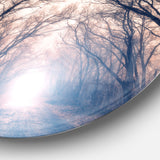 Mysterious Sunlight in Forest' Landscape Photo Circle Metal Wall Art