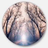 Mysterious Sunlight in Forest' Landscape Photo Circle Metal Wall Art