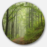 Early Green Fall Forest' Landscape Photo Circle Metal Wall Art