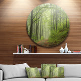 Early Green Fall Forest' Landscape Photo Circle Metal Wall Art