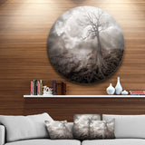 Lonely Tree Holding the Moon' Landscape Circle Metal Wall Art