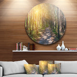 Thick Forest with Yellow Sun Rays' Circle Landscape Circle Metal Wall Art