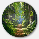 Bright Green Forest in Morning' Landscape Oversized Circle Wall Art