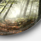 Light in Dense Fall Forest with Fog' Ultra Vibrant Landscape Oversized Circle Wall Art