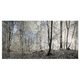 Dark Morning in Forest Panorama Wall Art