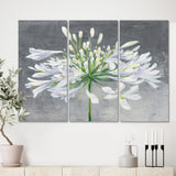 Designart 'Flower Cleome Splash I' Traditional Floral Canvas Artwork - 36x28 - 3 Panels