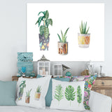 Three Potted Houseplants